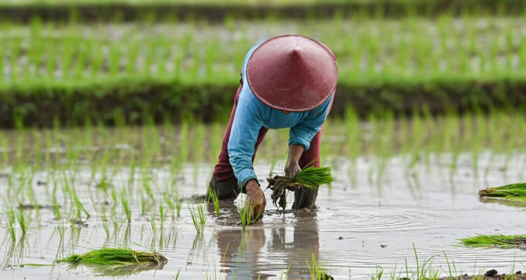 Challenges in a Plant-Based Lifestyle