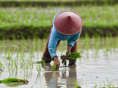 Challenges in a Plant-Based Lifestyle