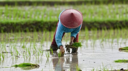 Challenges in a Plant-Based Lifestyle
